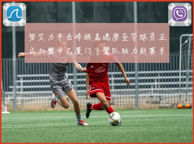 努艾力李岳峰顾嘉逸廖垒等球员正式加盟中乙厦门飞鹭队助力新赛季