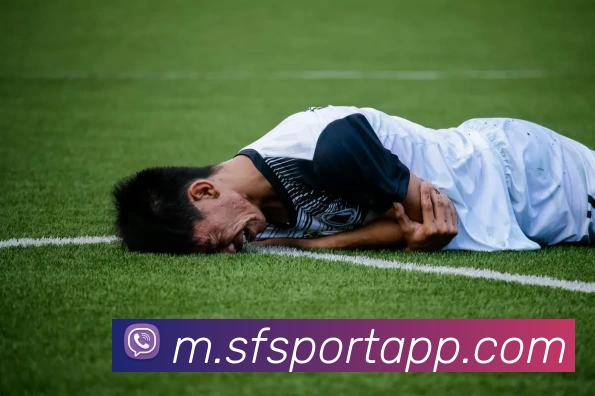 顺发体育APP全站App